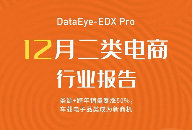 二类电商 | 12月份投放趋势报告封面